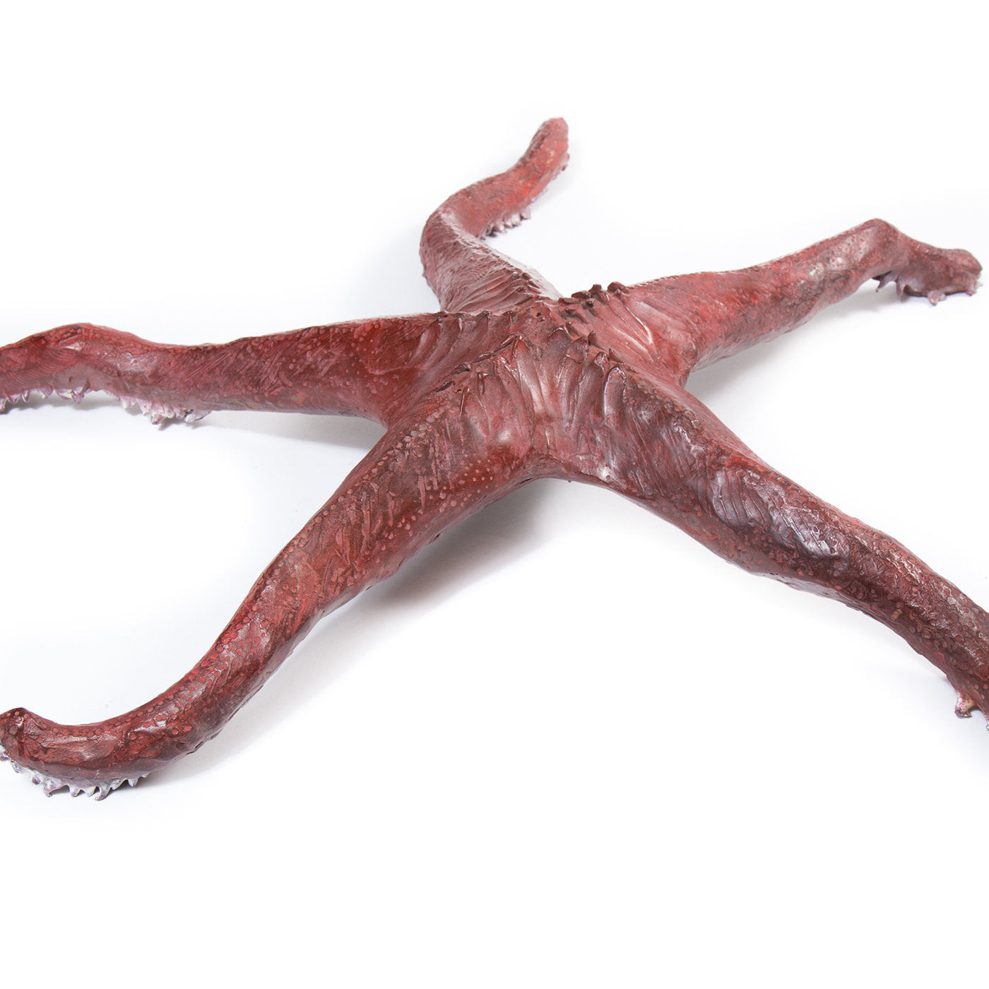 Starfish Sculpture - Alternative view 2