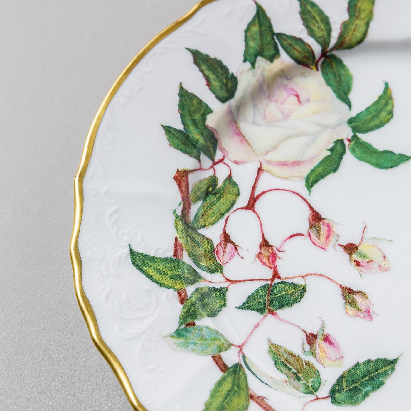 Rosa Bianca Collection Dinner Plate - Alternative view 2
