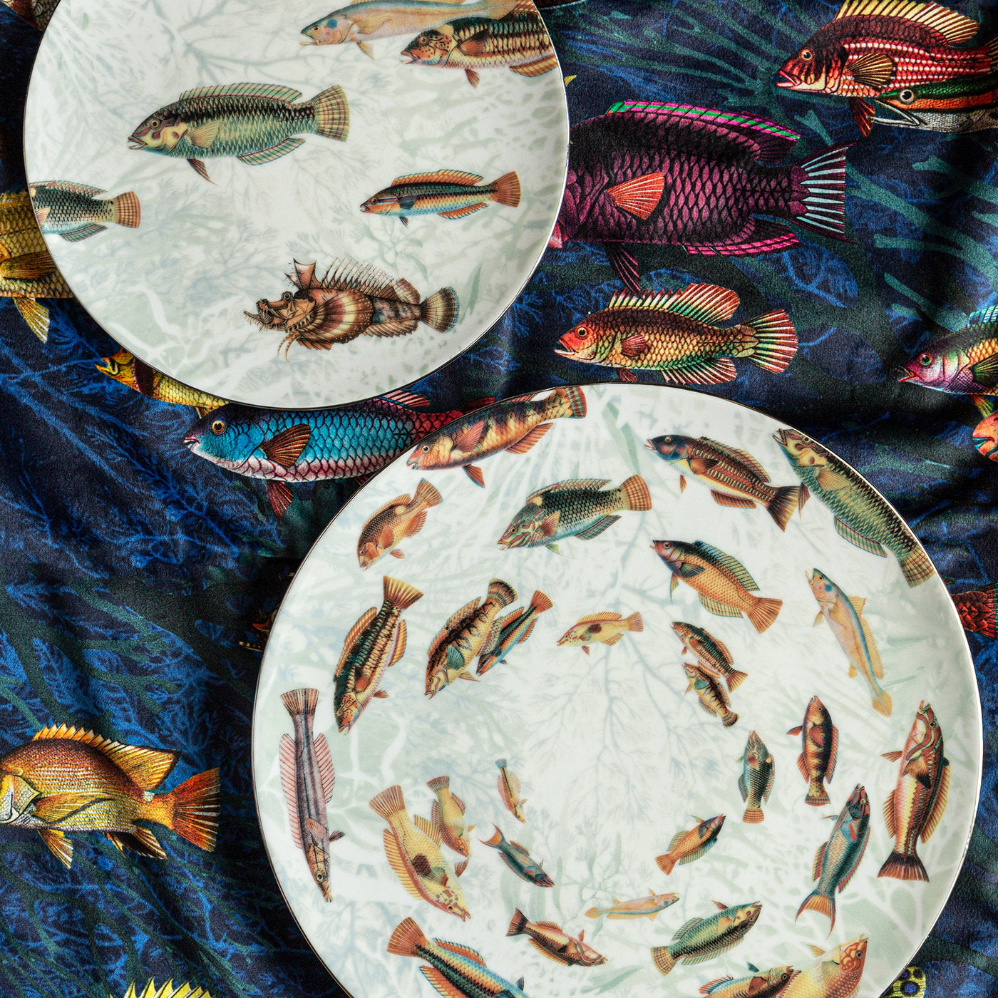 Amami Porcelain Dinner Plate With Tropical Fish #5 - Alternative view 1