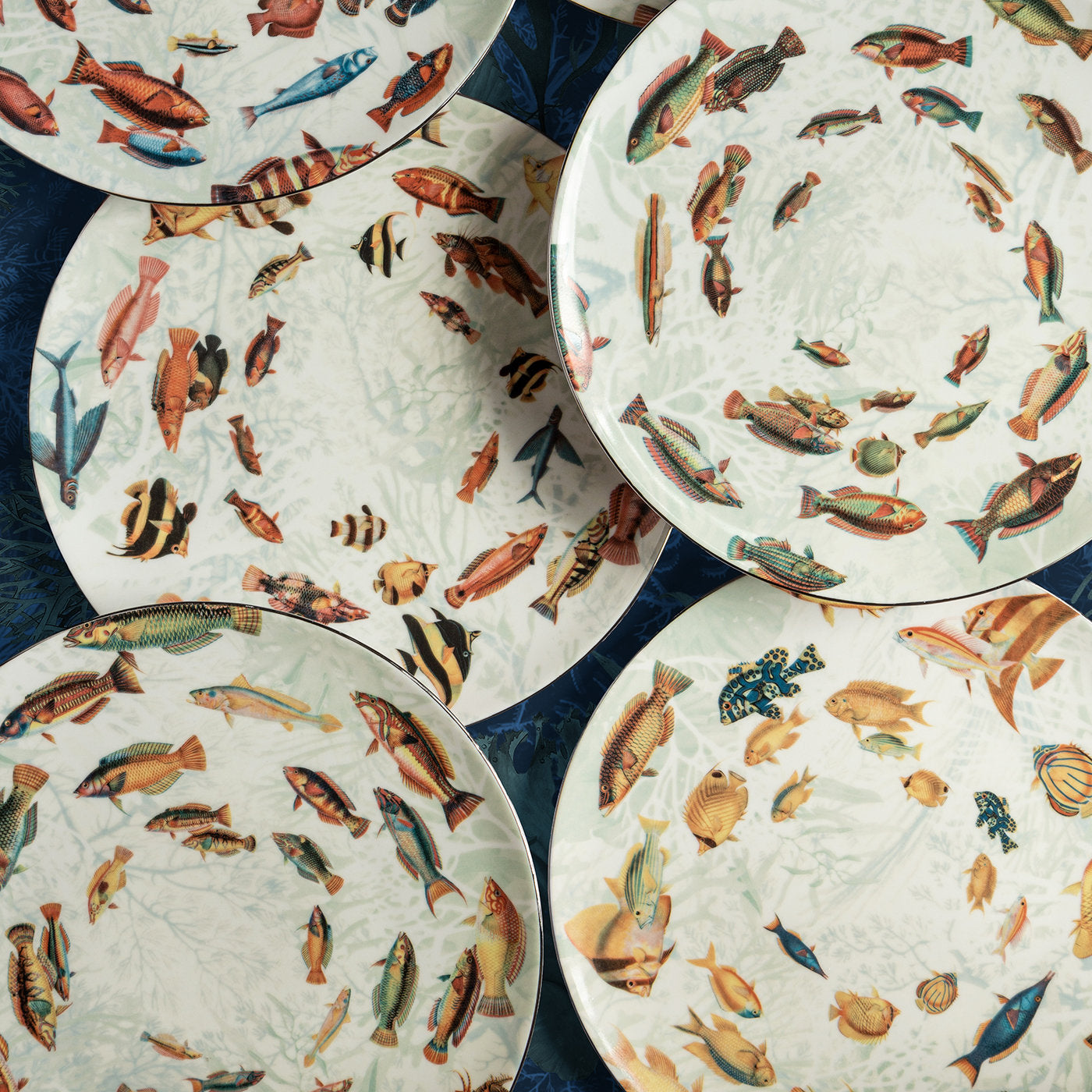 Amami Porcelain Dinner Plate With Tropical Fish #5 - Alternative view 2