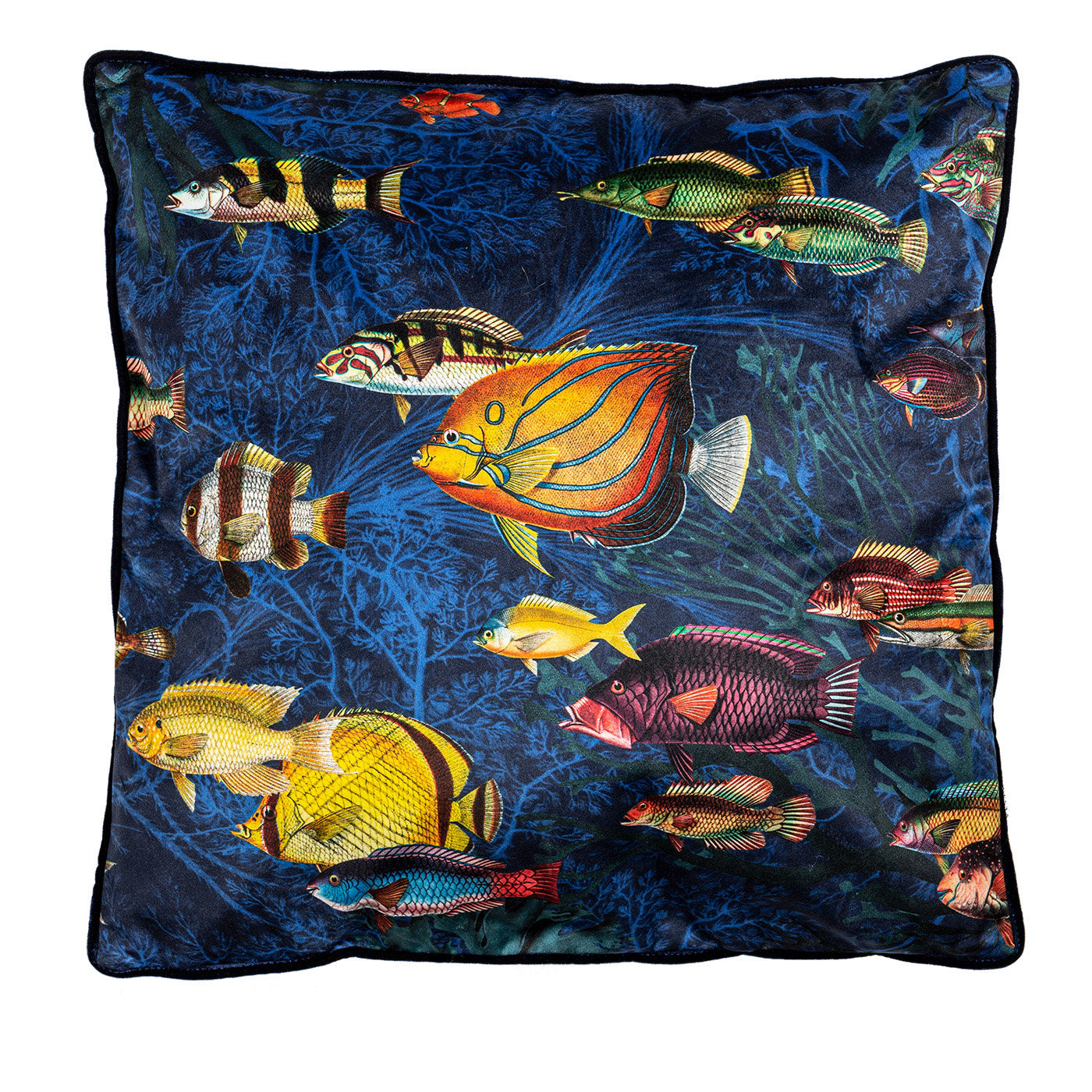 Amami Islands Velvet Cushion With Tropical Fish #2 - Main view