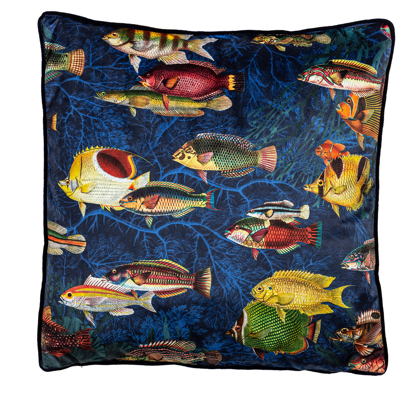 Amami Islands Velvet Cushion With Tropical Fish #3 - Main view
