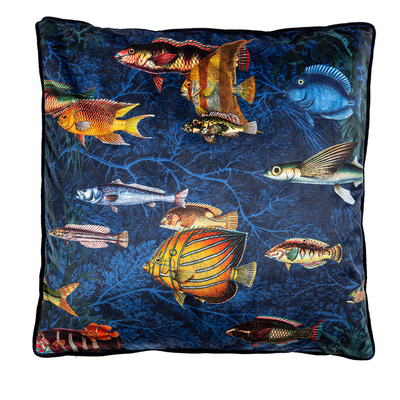 Amami Islands Velvet Cushion With Tropical Fish #5 - Main view