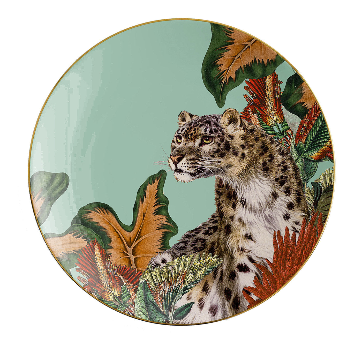 Animalia Set de 2 assiettes à pain en porcelaine avec guépard - Vue principale