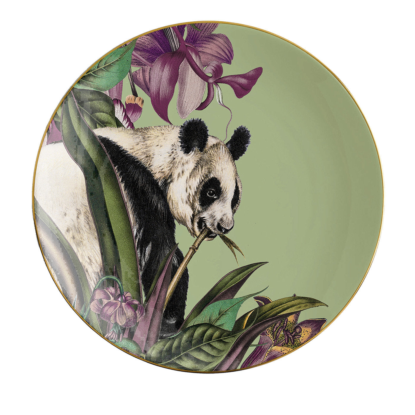Animalia Set Of 2 Porcelain Bread Plates With Panda - Main view