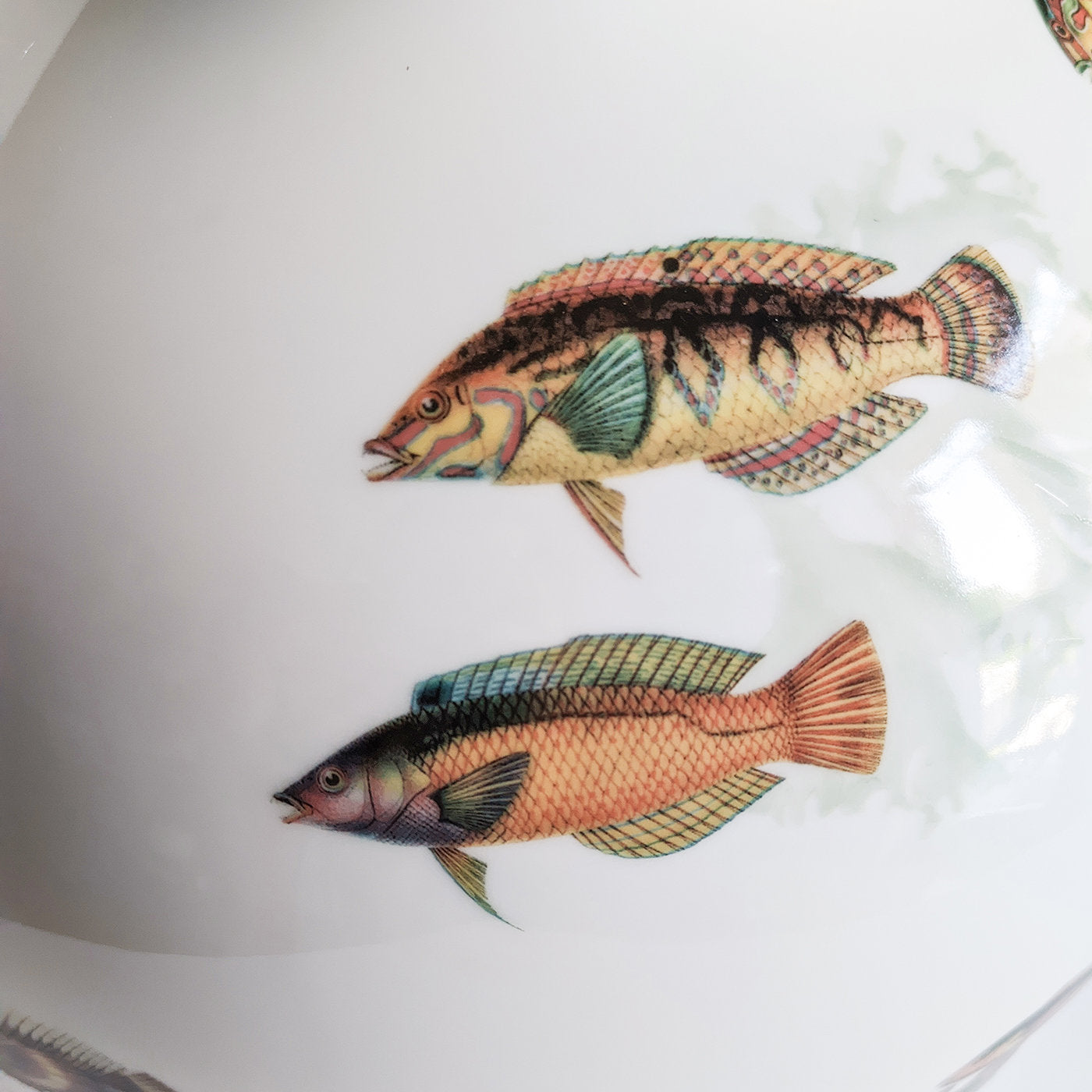 Amami Amphora Porcelain Vase With Tropical Fish H32Cm - Alternative view 4