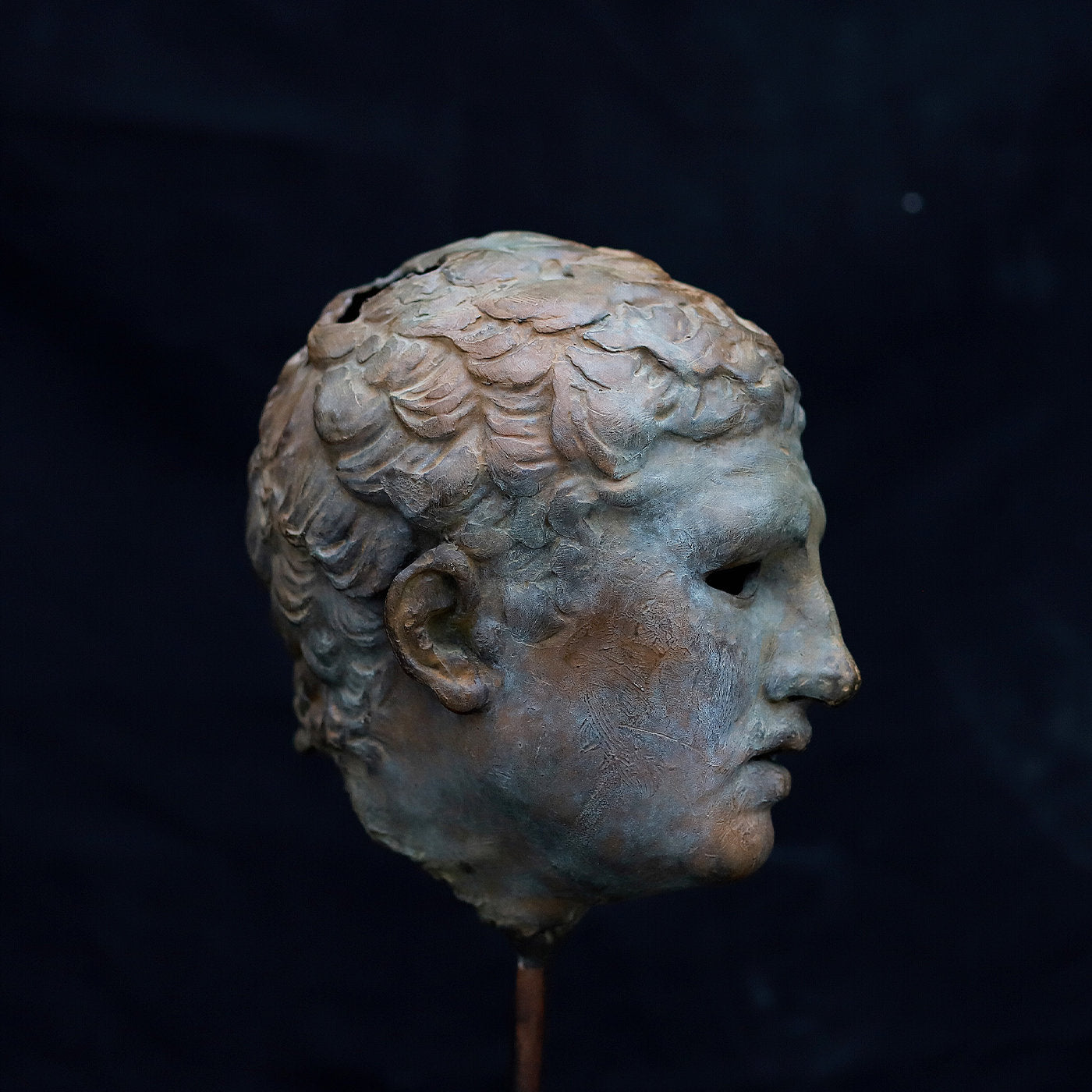 Borghese Gladiator Bust Sculpture - Alternative view 4