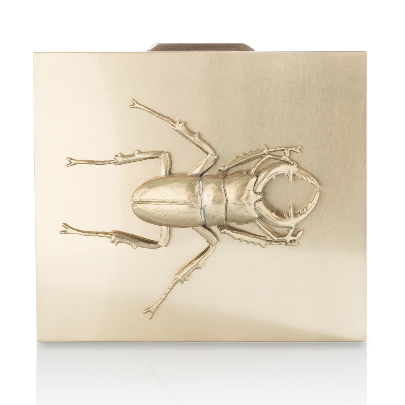 Small Brass Beetle Secret Box - Alternative view 2