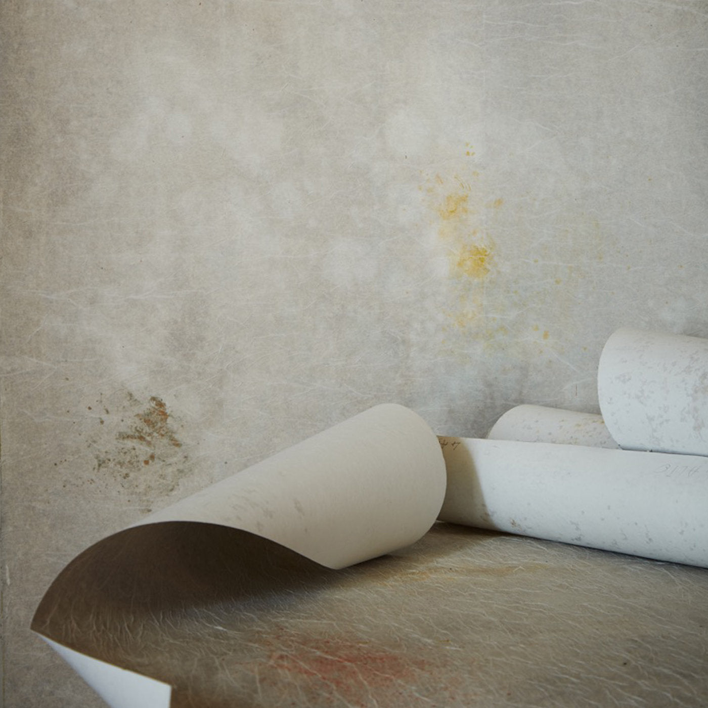 Rose Scented Mirage Hand Painted Wallpaper - Alternative view 3