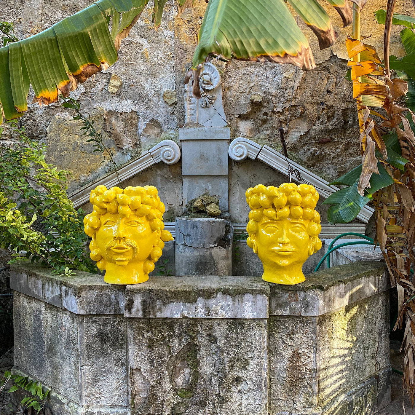 Jarrón con cabeza de reina del país de los limones - Vista alternativa 2
