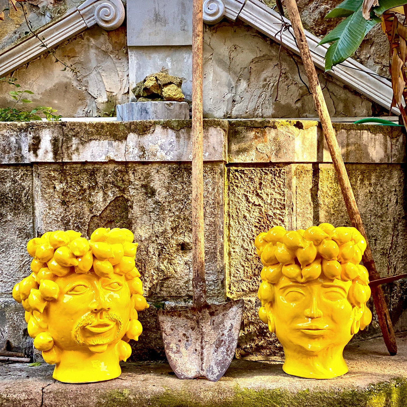 Königin des Landes der Zitronen Kopf Vase - Alternative Ansicht 4