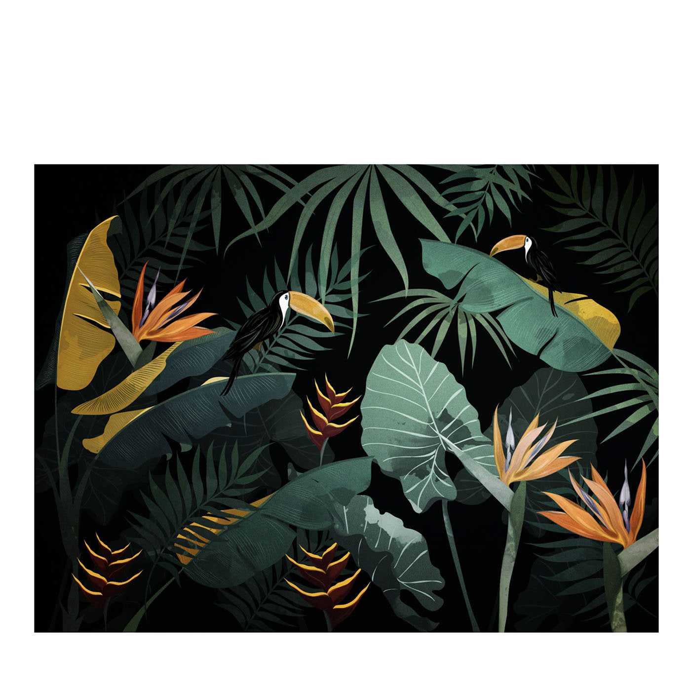 Jungle Dream Black Nature Wallpaper - Main view