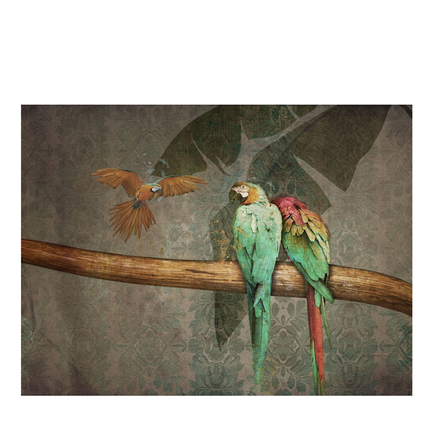 Papageien Natur Hintergrundbild - Hauptansicht