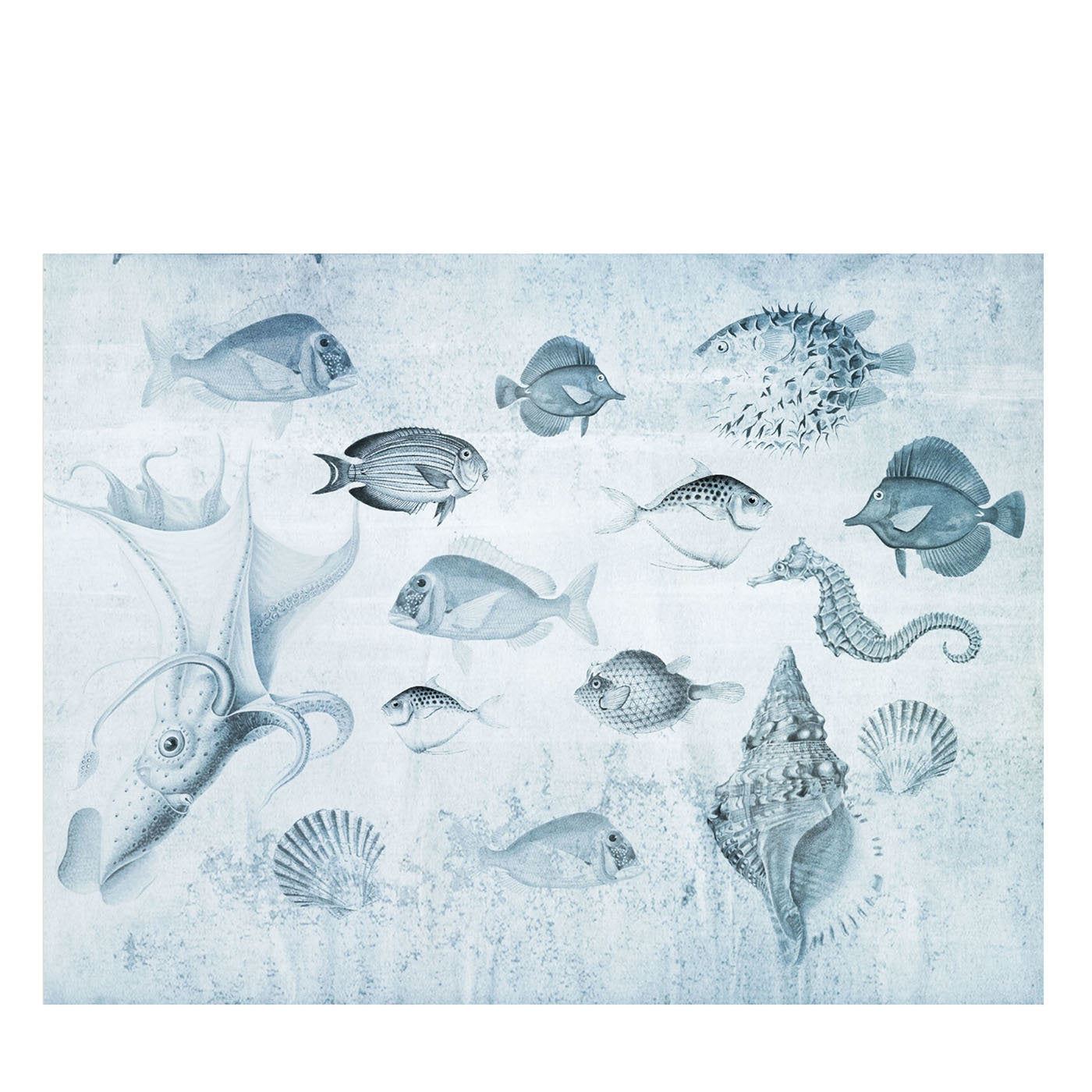 Acquarium Blu Nature Wallpaper - Main view