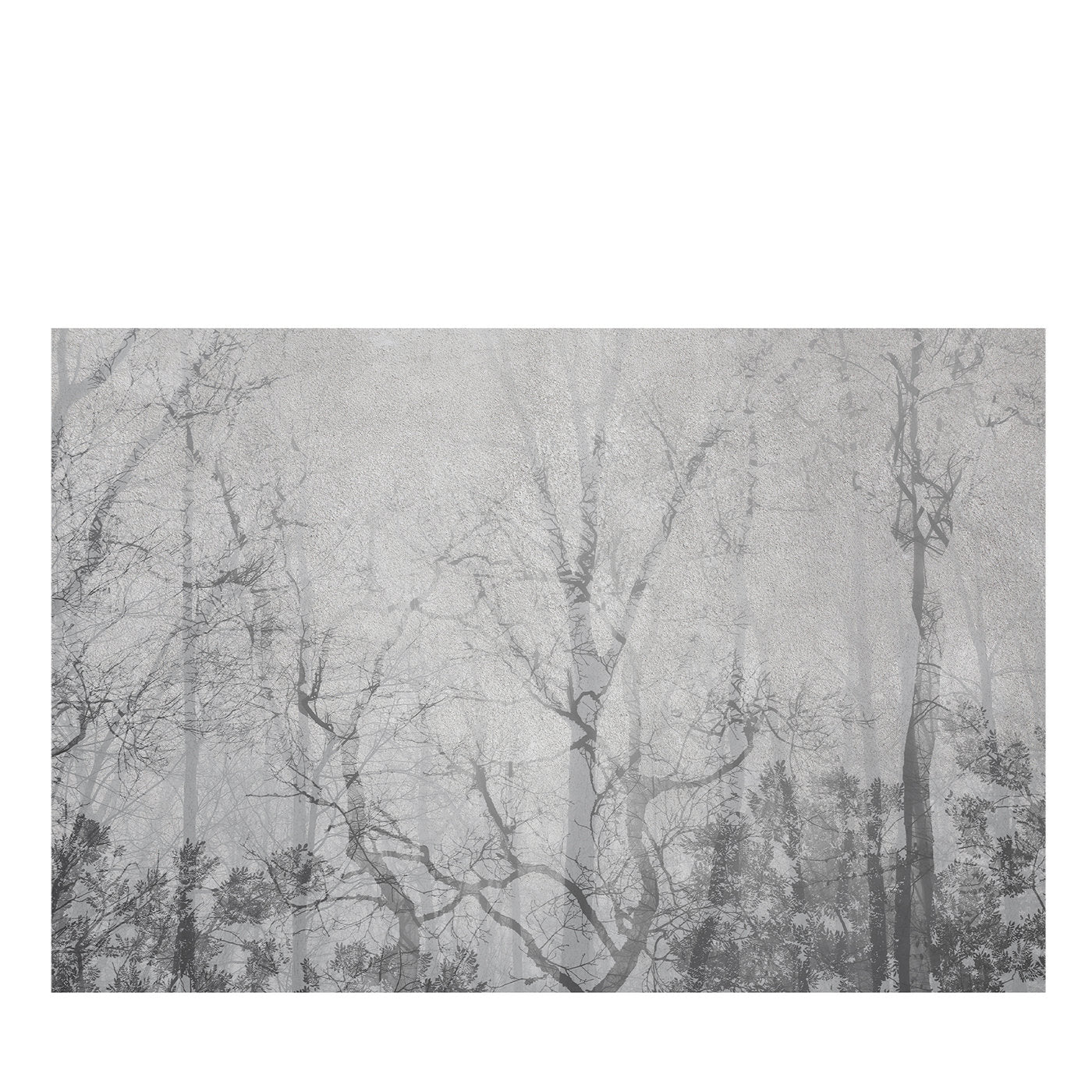 Gray Forest Textured Wallpaper - Main view