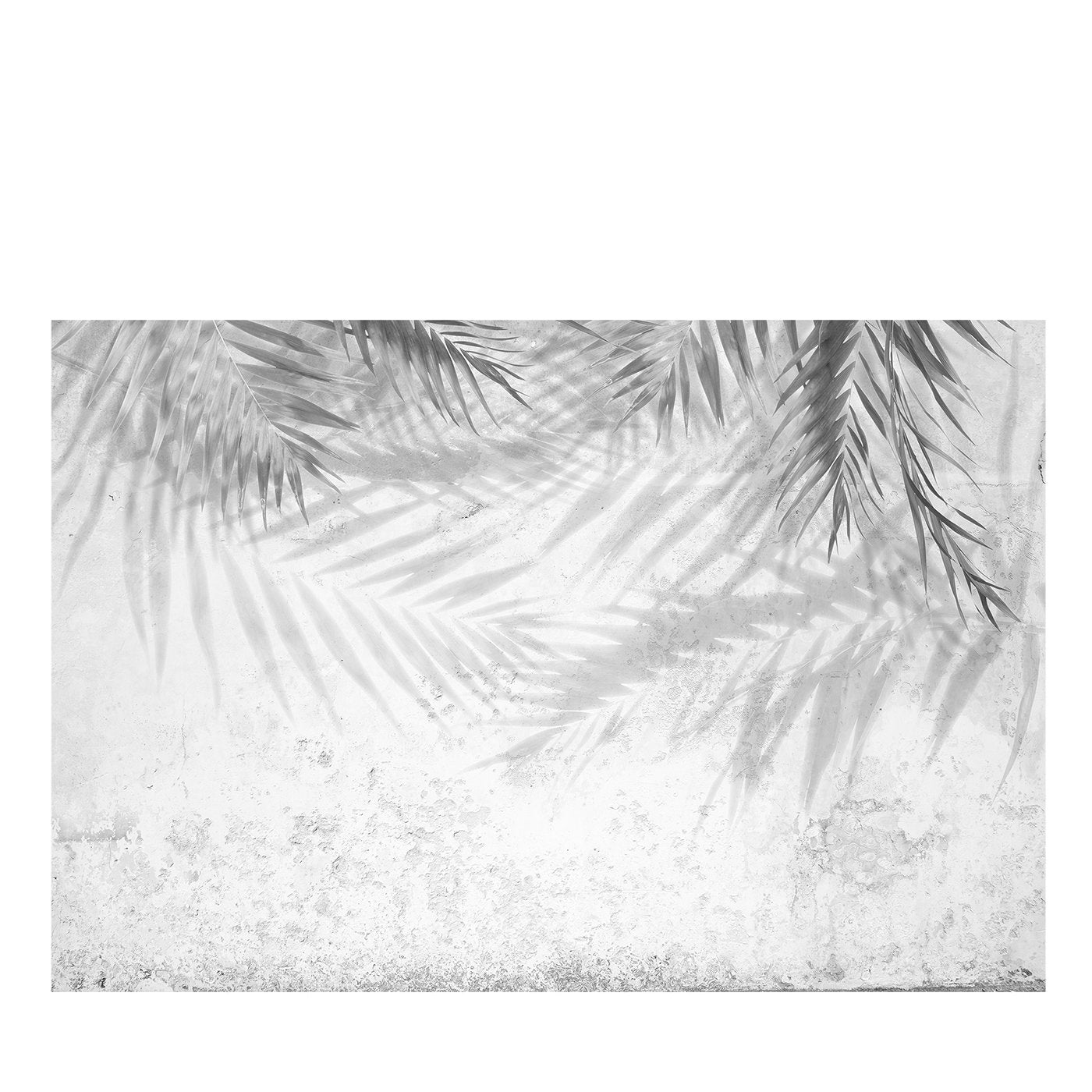 Schwarze und weiße Palmen-Strukturtapete - Hauptansicht