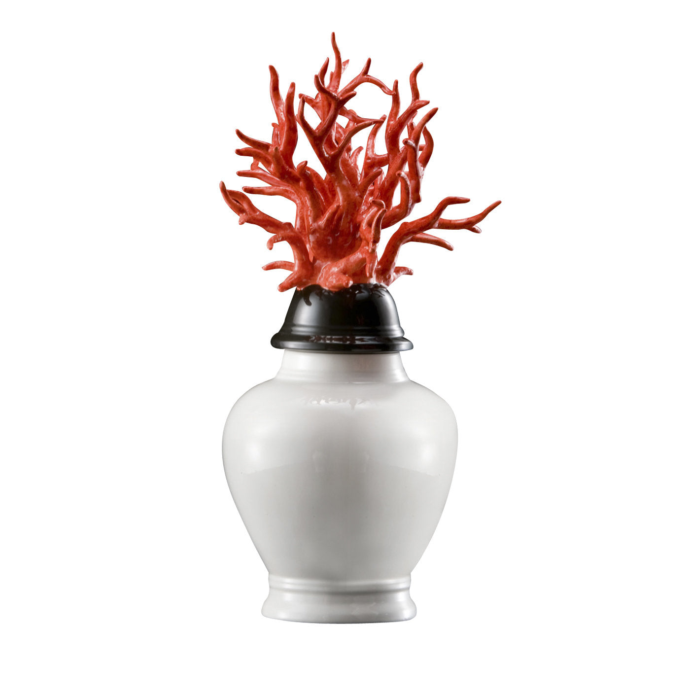 Grand vase en corail blanc - Vue principale