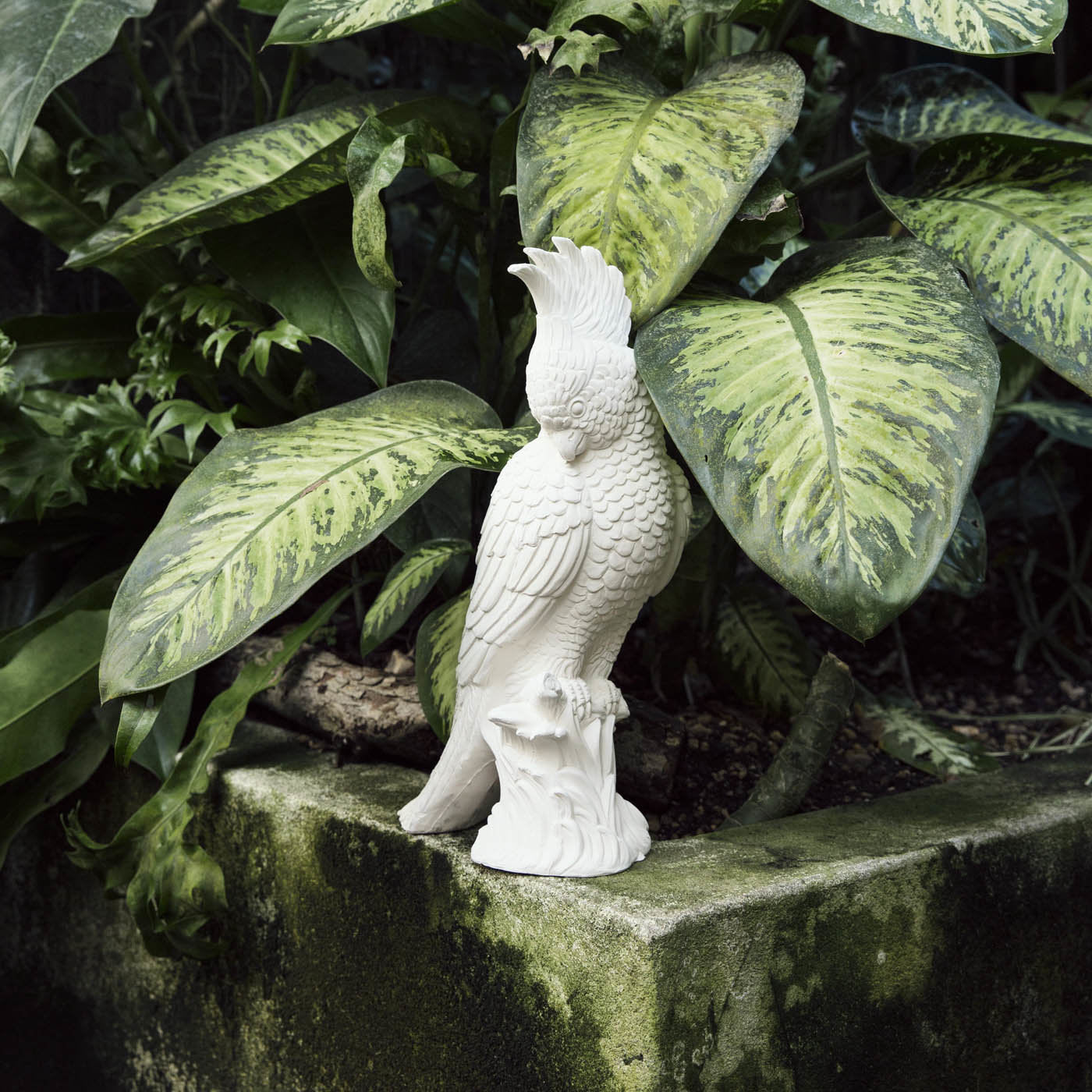 Crested Ceramic Parrot - Alternative view 2