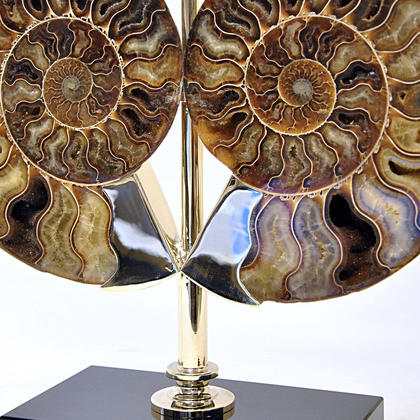 Ammoniti Table Lamp  - Alternative view 1