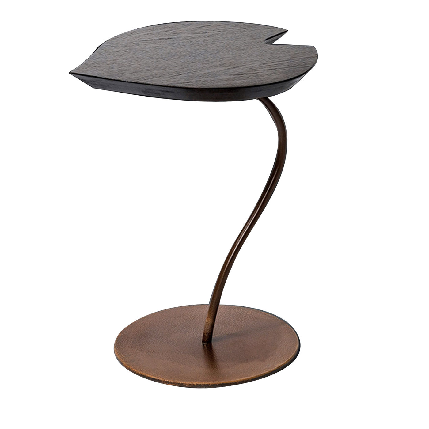 Leaf Wood and Metal Side Table - Main view