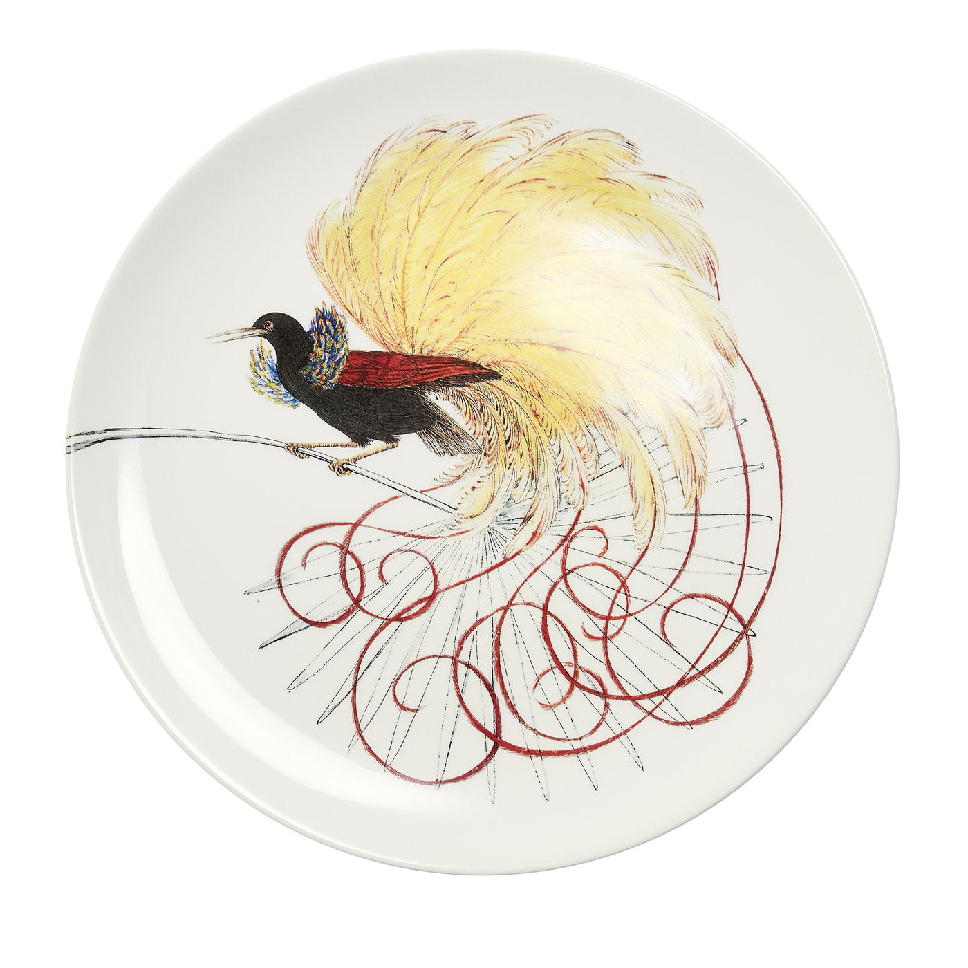 Assiette plate blanche Birds of Paradise #6 - Vue principale