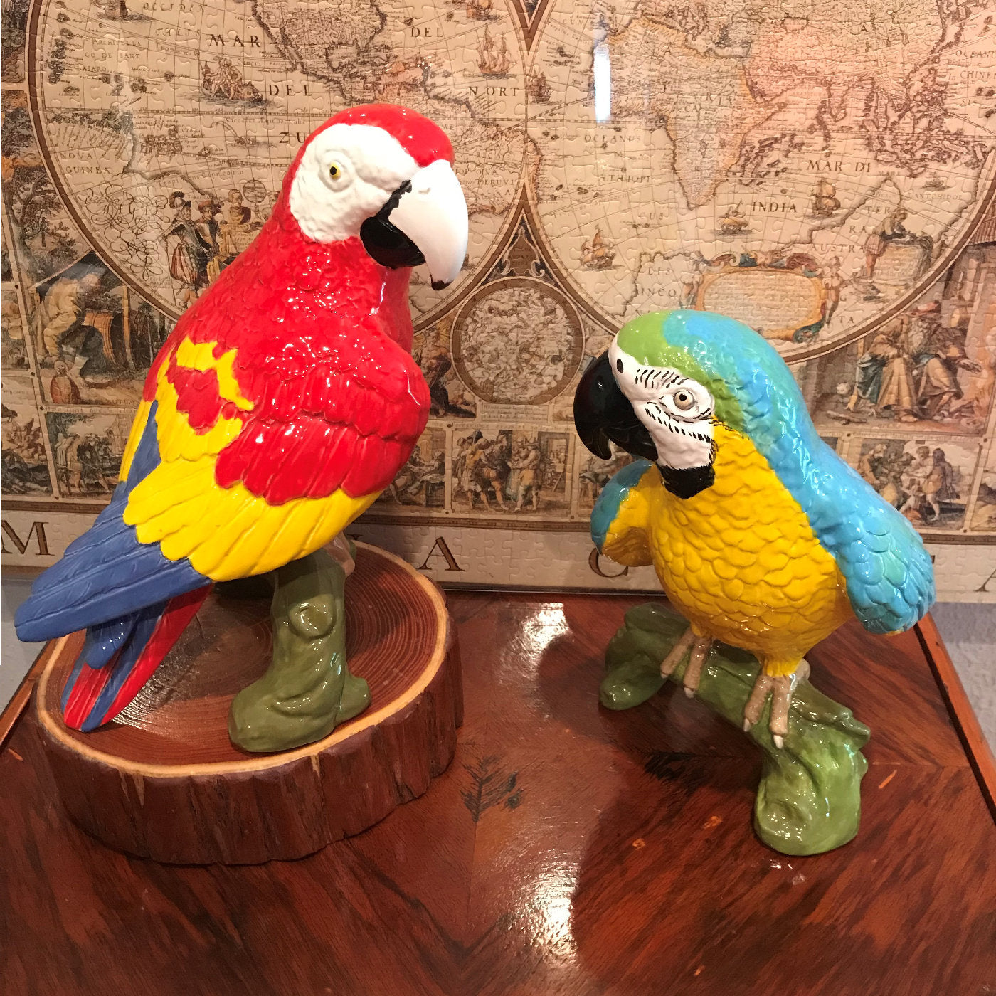 Ara Red Parrot - Alternative view 1
