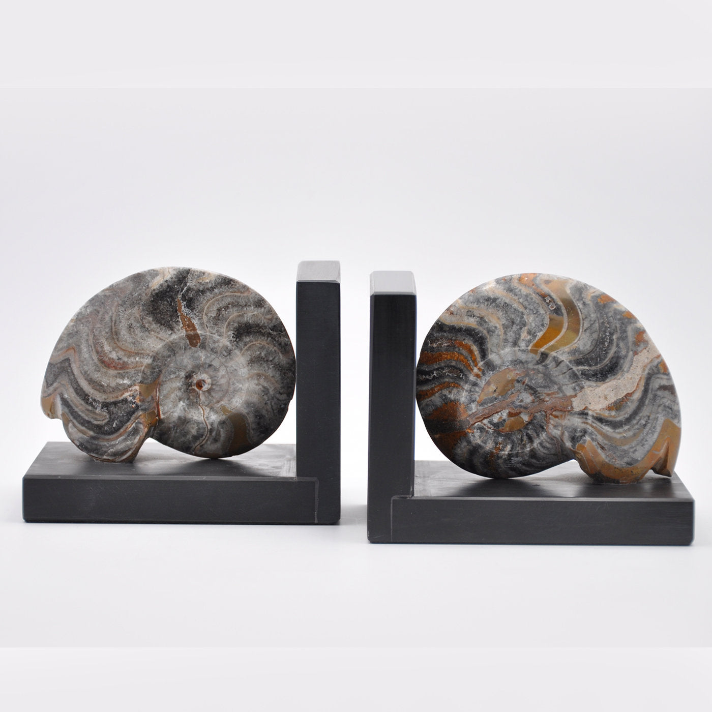 Sculpture de serre-livres fossiles #3 par Nino Basso - Vue alternative 1