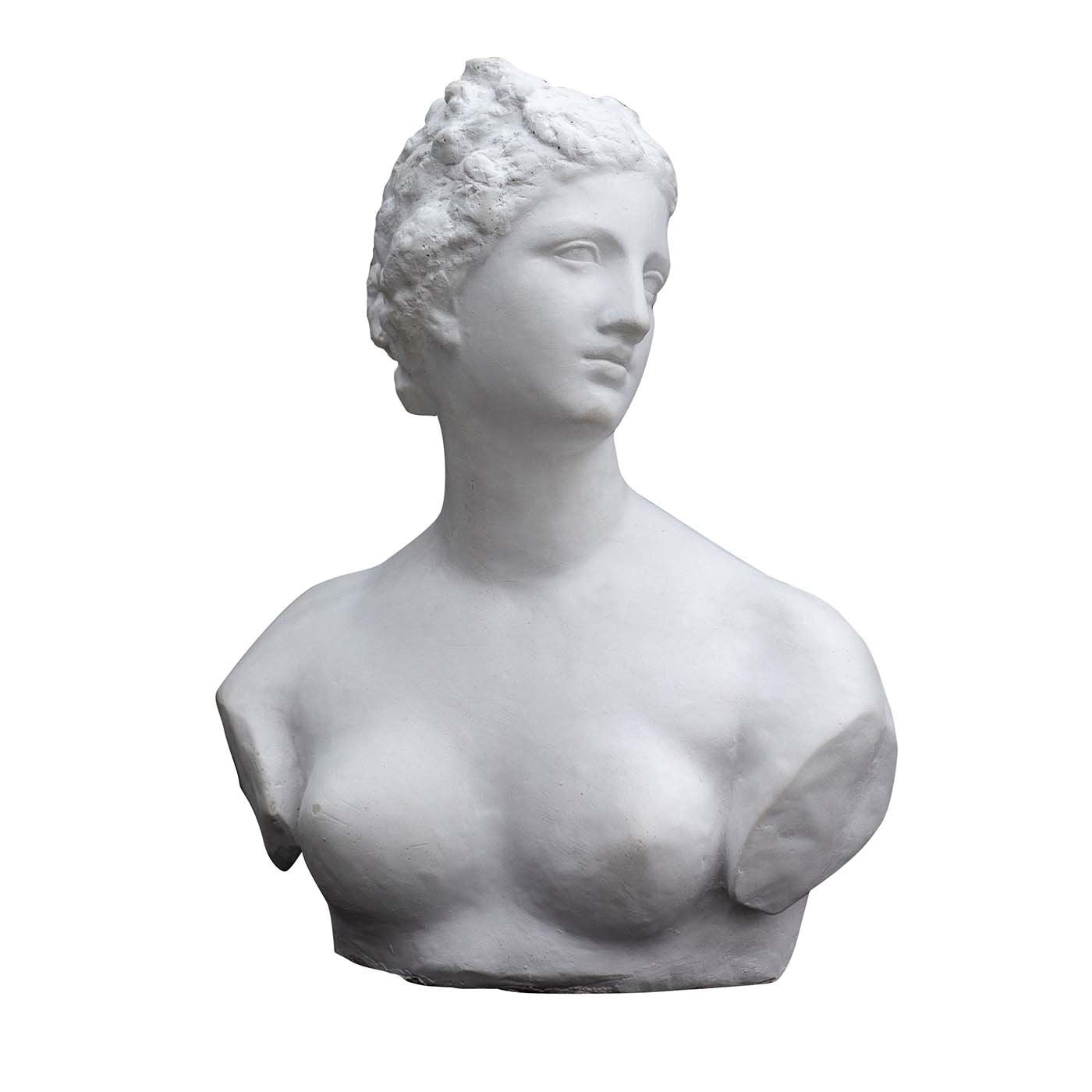 Escultura de la Venus de Médicis - Vista principal