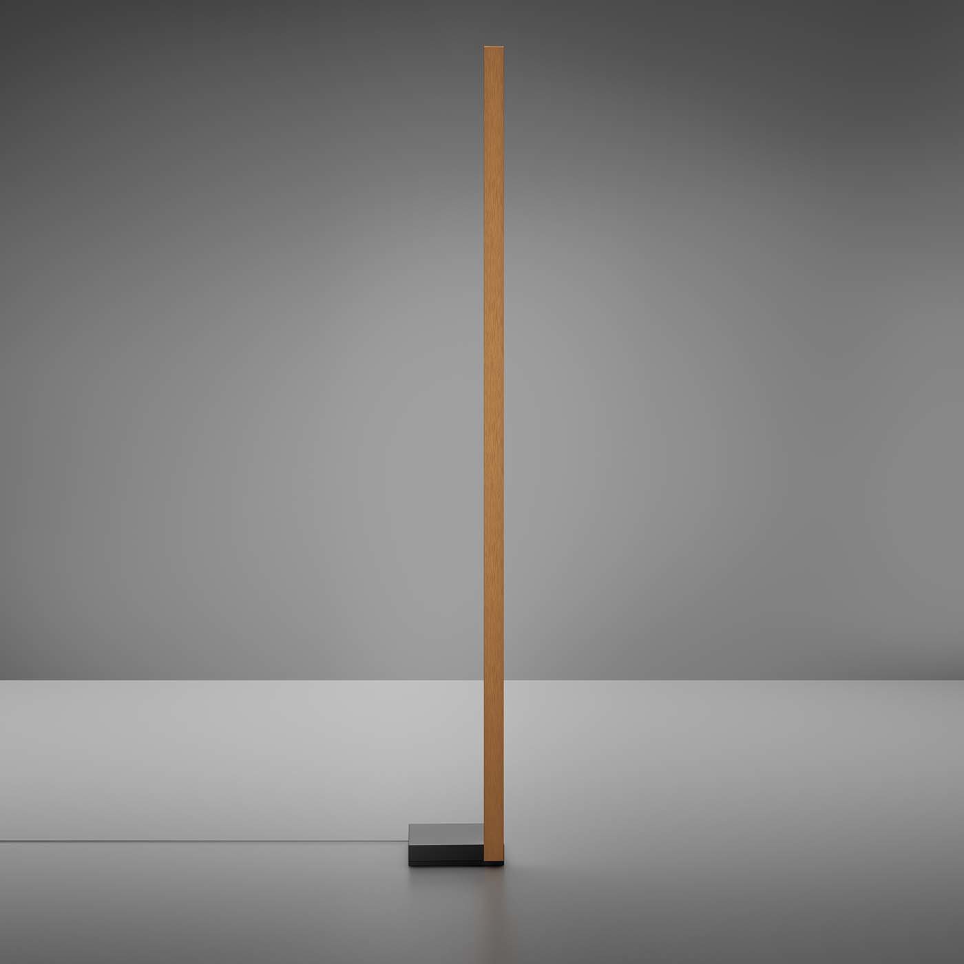 Pivot Bronze Floor Lamp by Vittorio Massimo - Alternative view 1