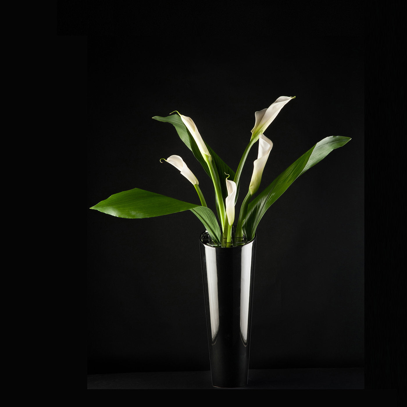 Anacleto Black Vase - Alternative view 1