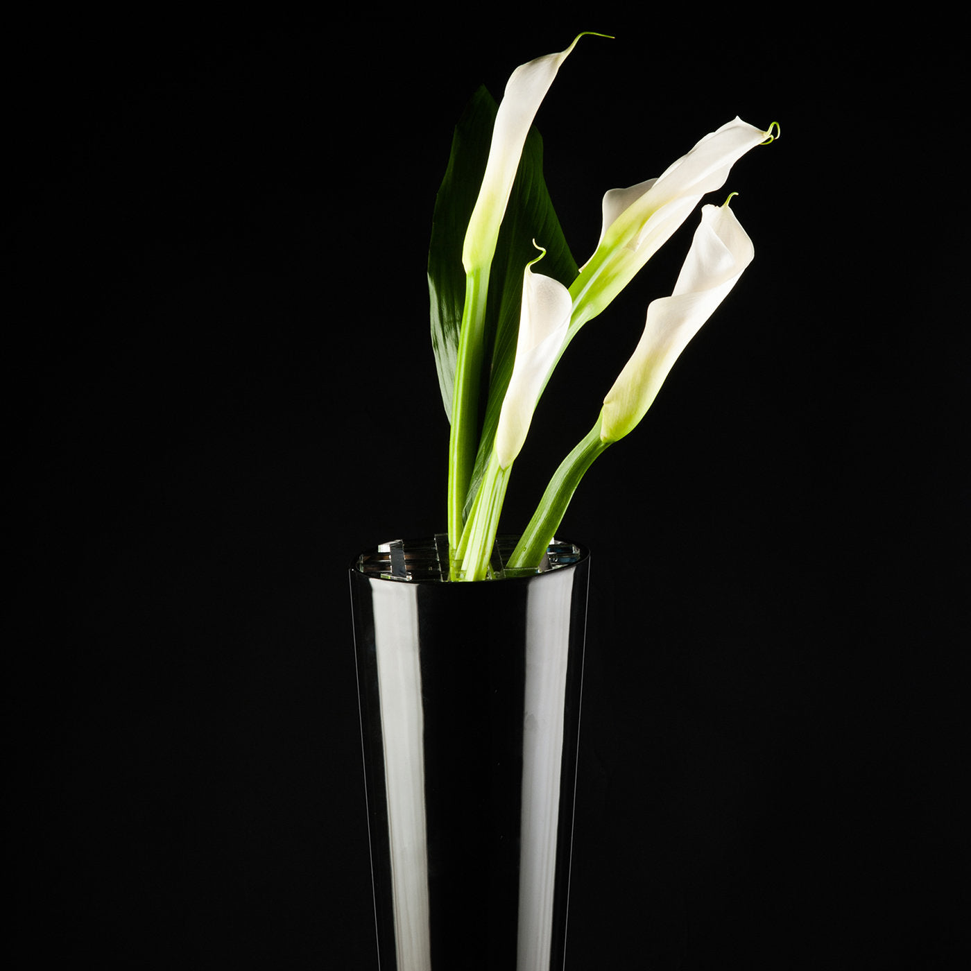 Anacleto Black Vase - Alternative view 2