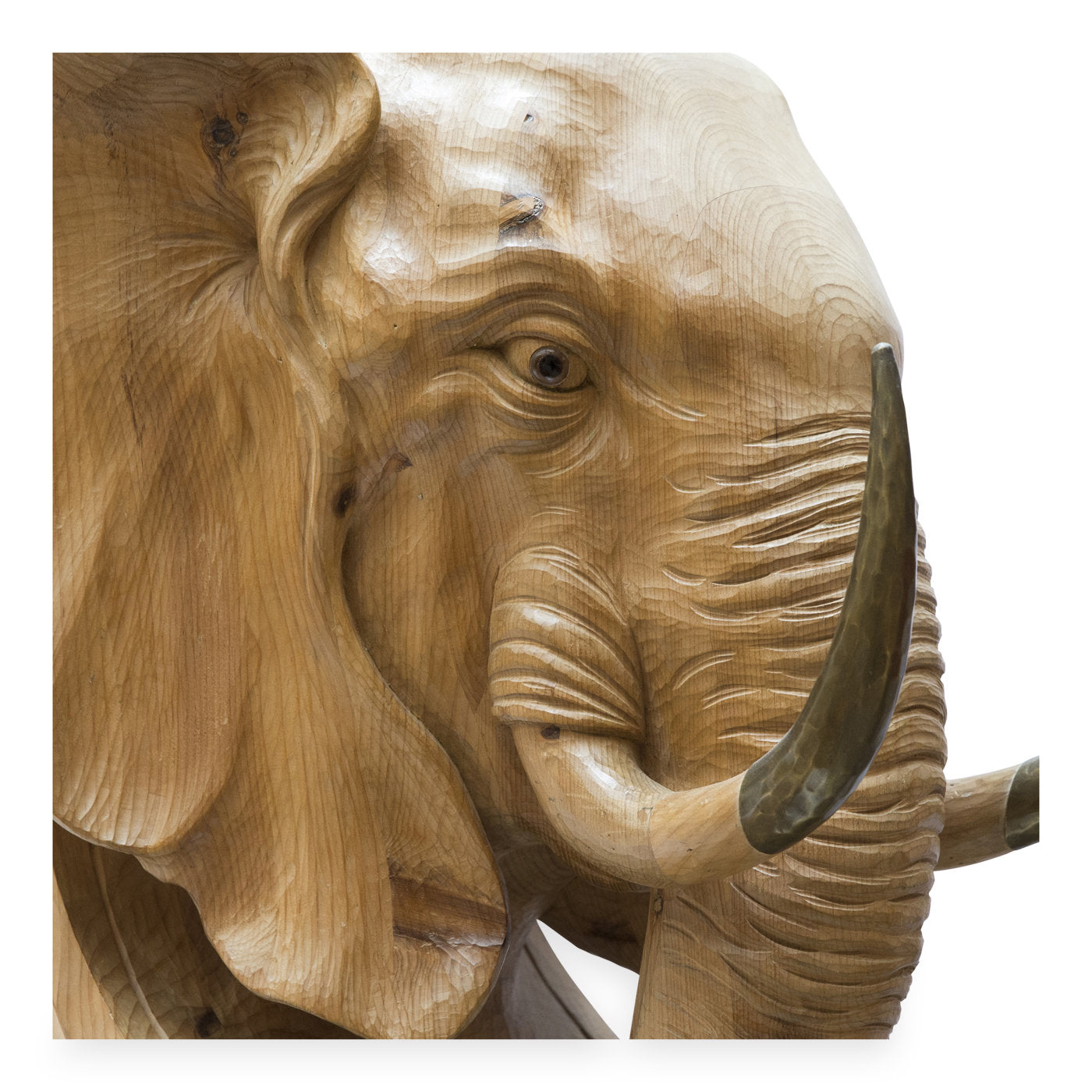 Elefante Il Magnifico Wood Sculpture - Alternative view 1