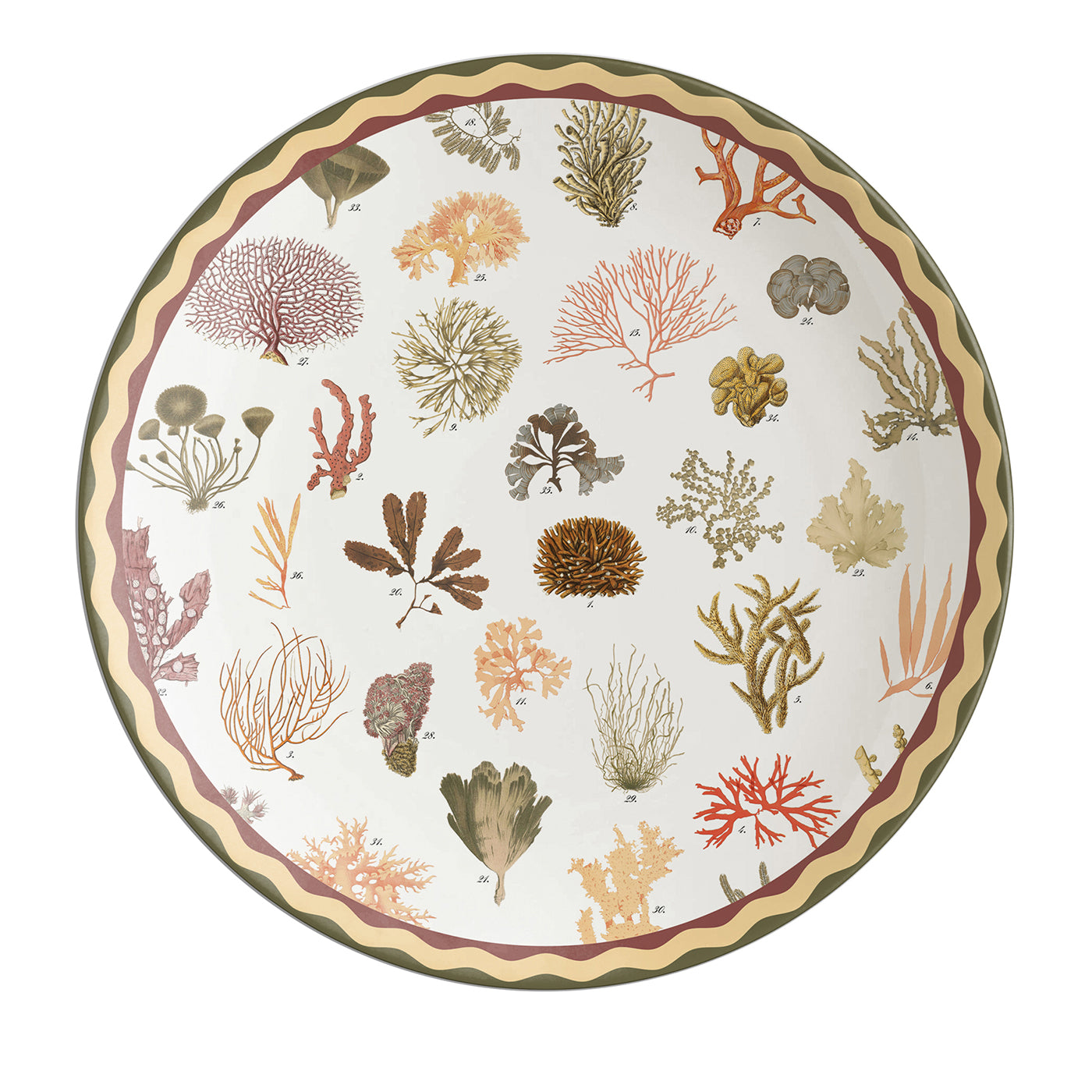 Plato Cargador de Porcelana con Corales Cabinet De Curiosités - Vista principal