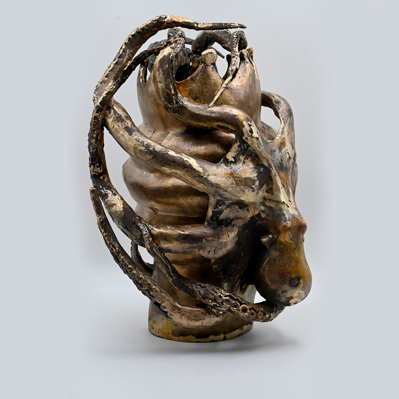 Tête de Maure Polype Golden Bronze - Vue alternative 2