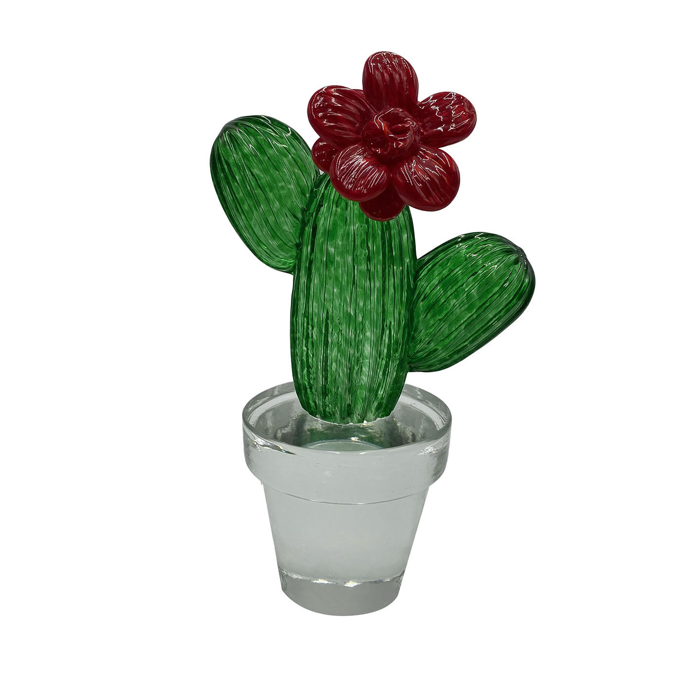 Cactus en verre avec fleur rouge  - Vue principale