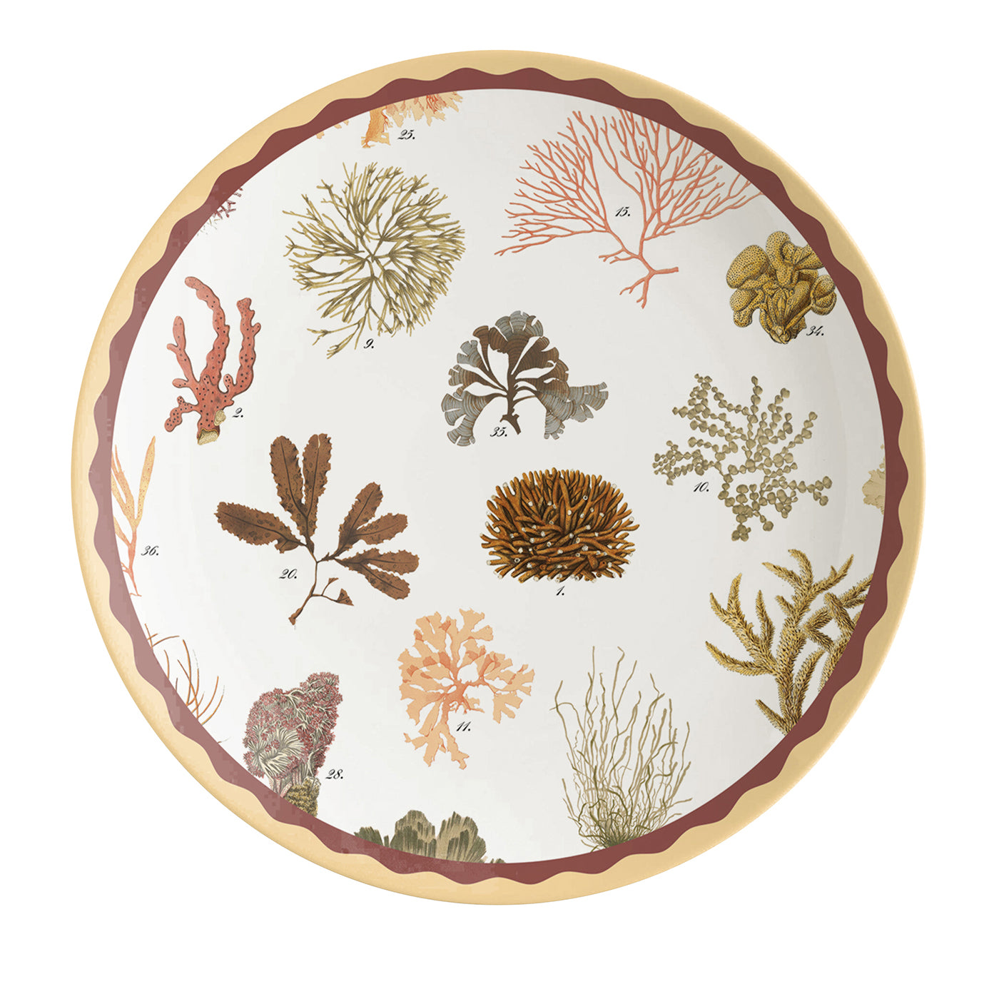 Cabinet De Curiosités Satz von 2 Porzellan Dessertteller mit Korallen - Hauptansicht