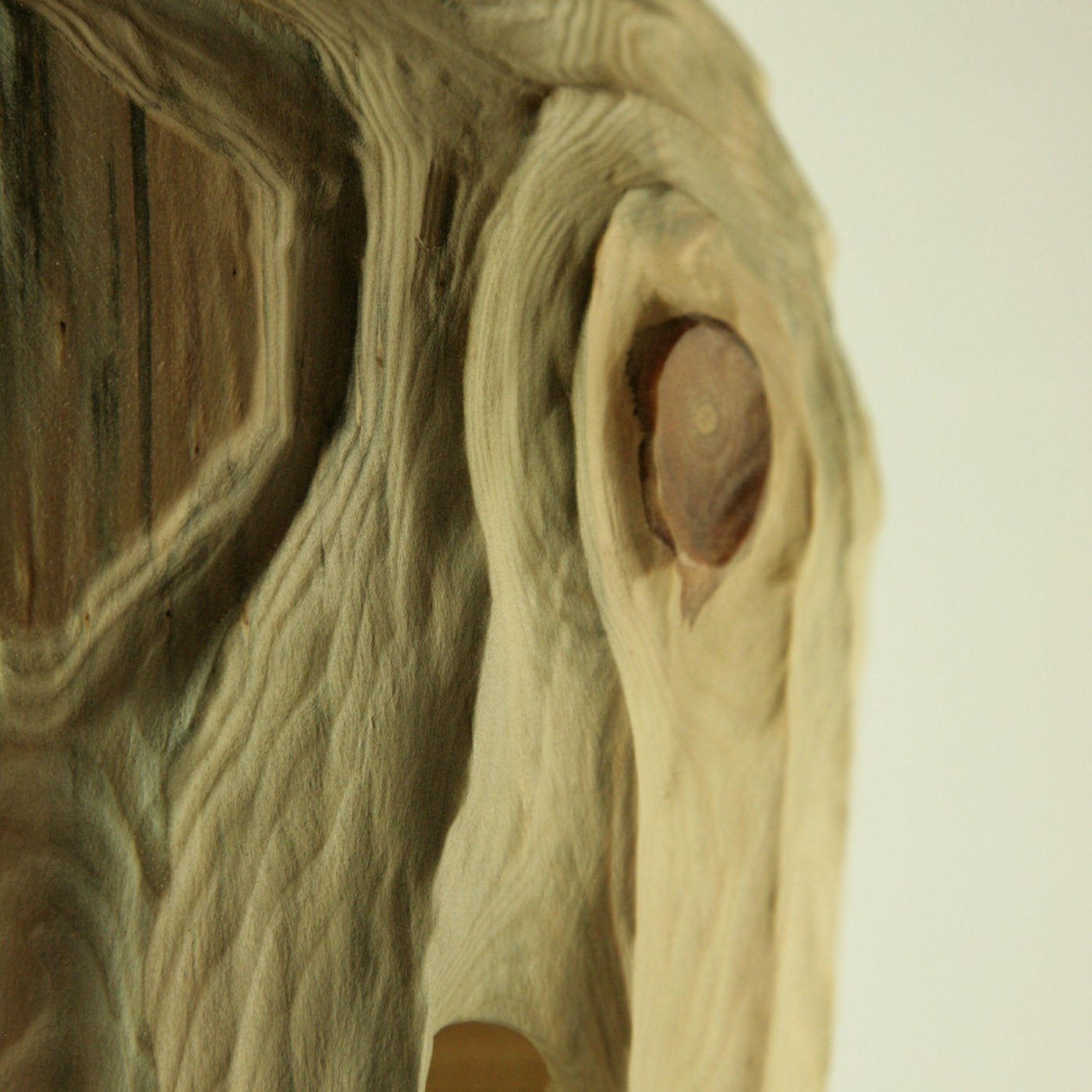 Les Montgolfières Hollow Form Araucaria Sculpture - Alternative view 1