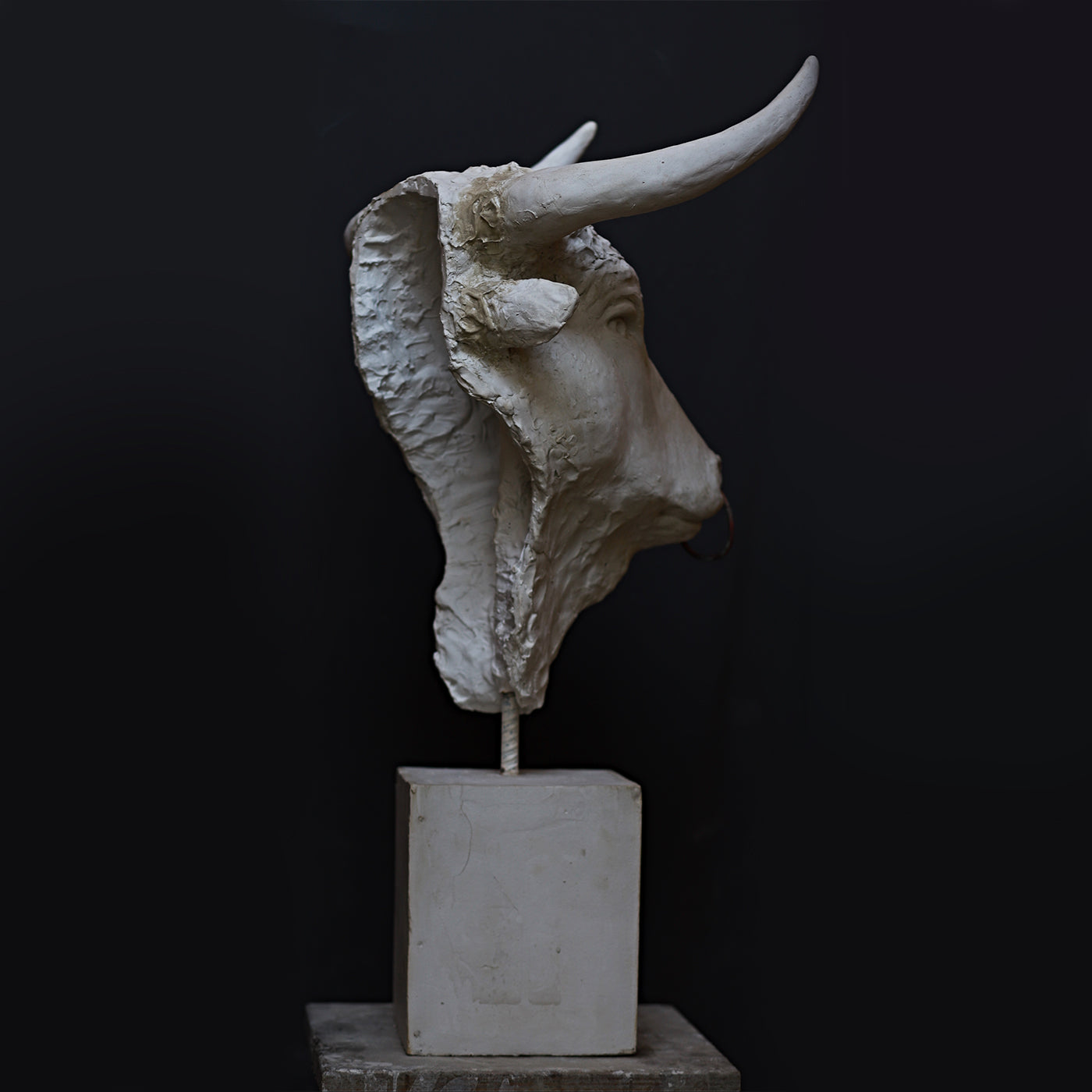 Toro Sculpture - Alternative view 4