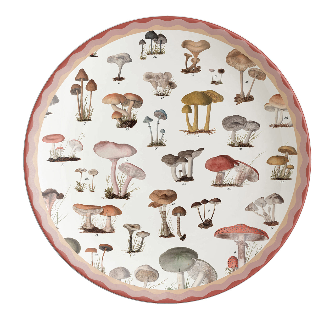 Cabinet De Curiosités Piatto da portata in porcellana con funghi - Vista principale