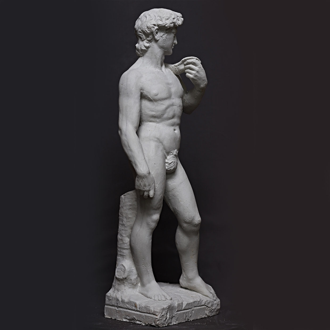 David Di Michelangelo Sculpture - Alternative view 3