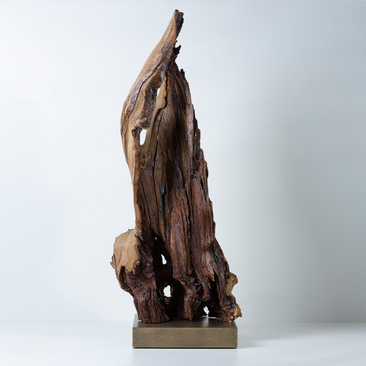 Per Mulieres II Brown Sculpture - Alternative view 1