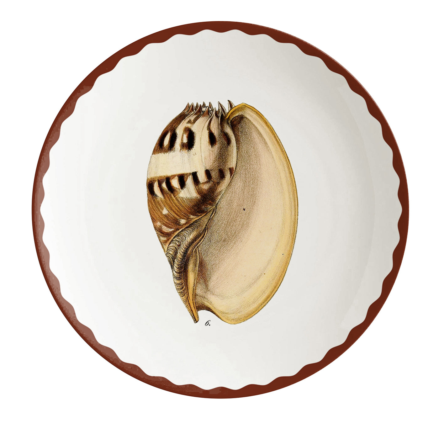 Cabinet De Curiosités Set Of 2 Porcelain Bread Plates With Shells - Main view
