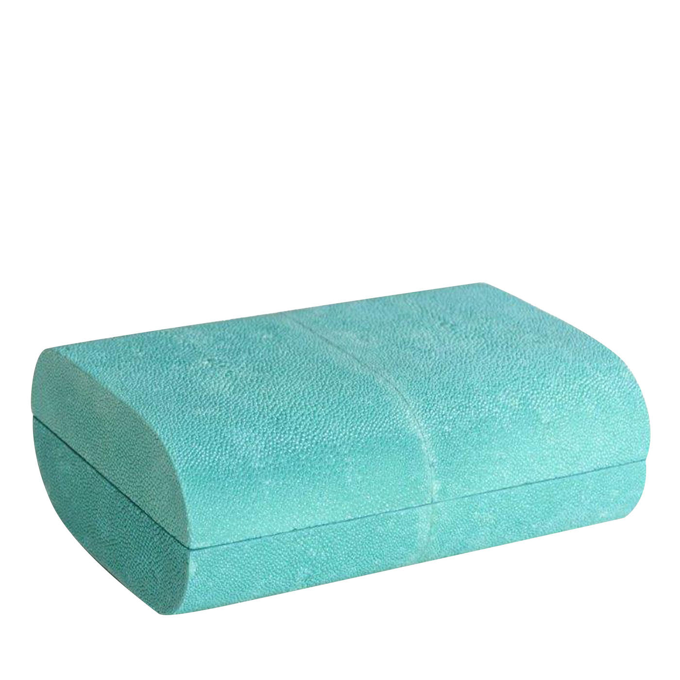 Boîte à galuchat ovale en turquoise - Vue principale