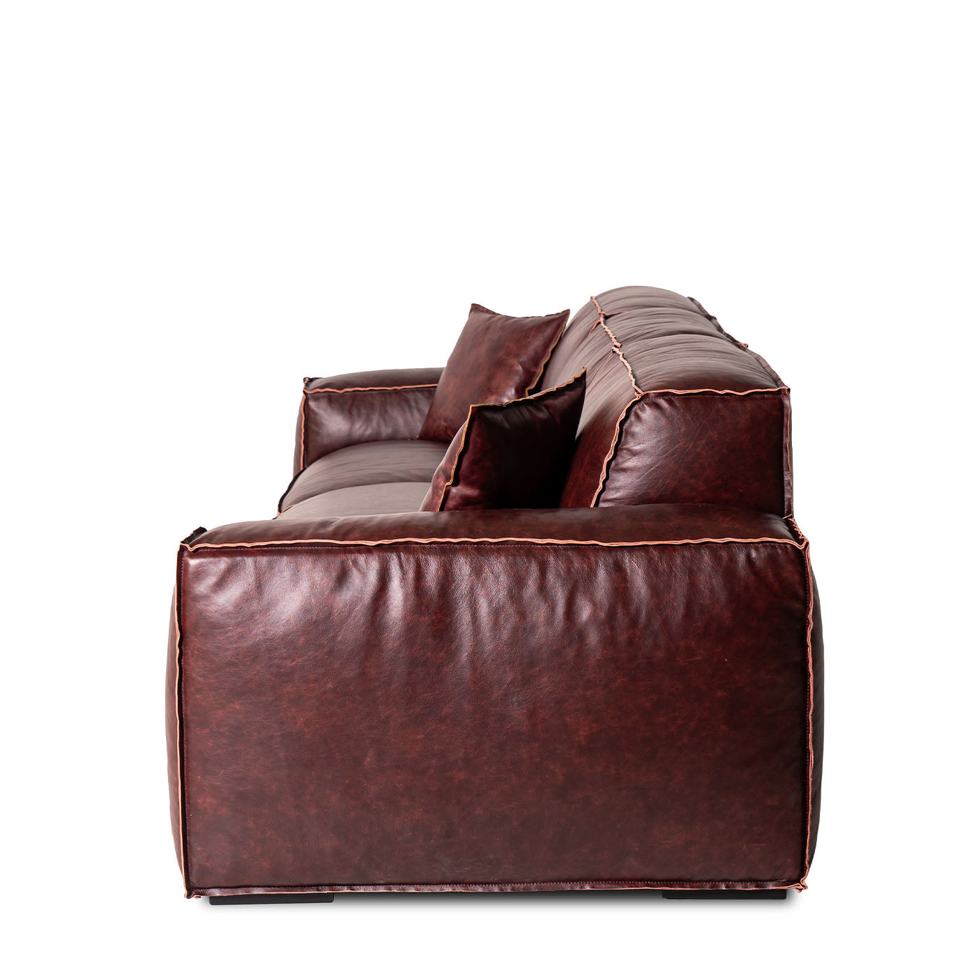 Dodo Mahogany Leather Sofa - Alternative view 3