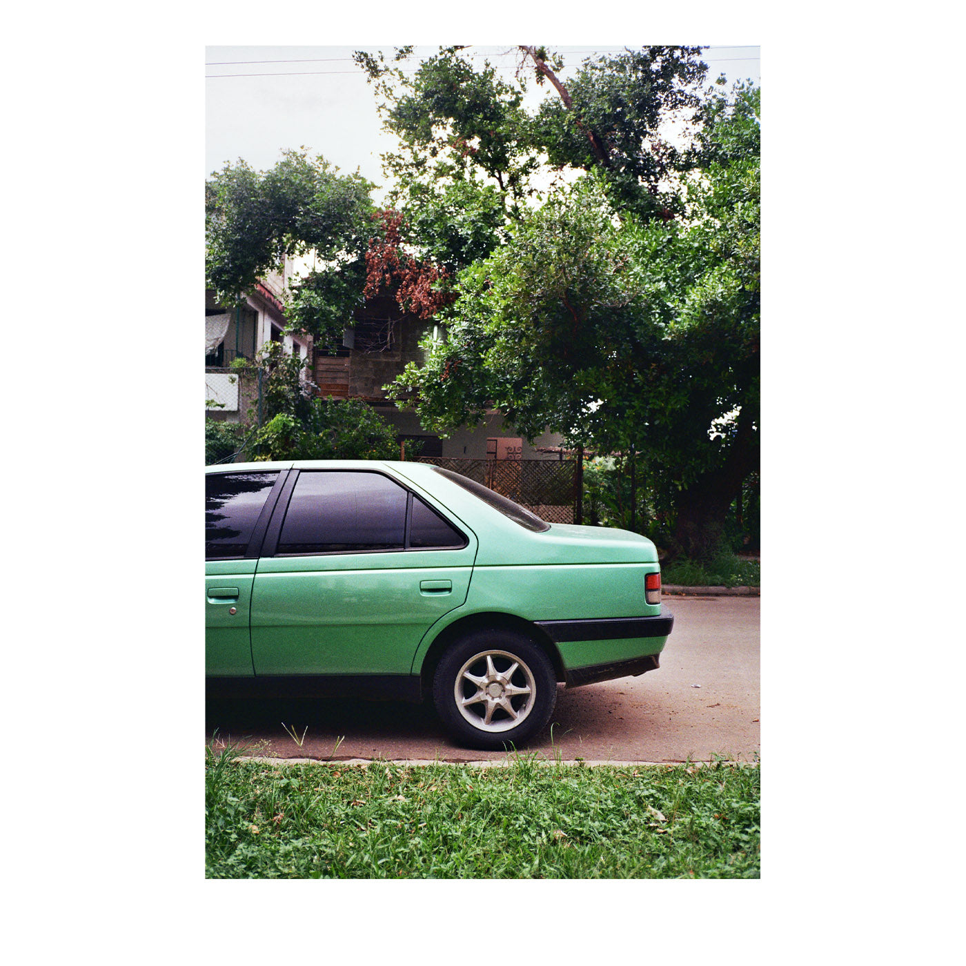 Stampa fotografica Auto Verde - Vista principale