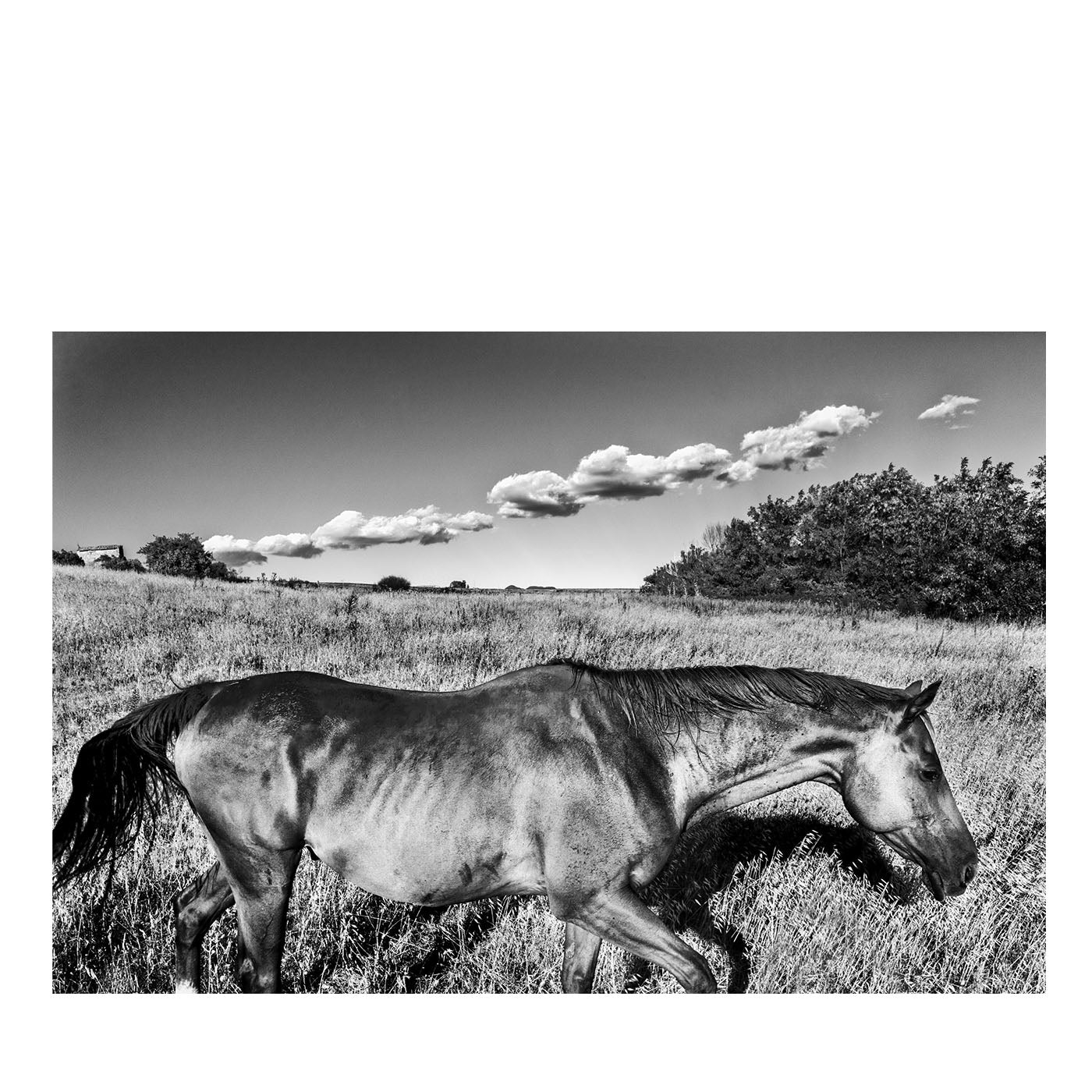 Cavallo e Nuvole Fotografía - Vista principal