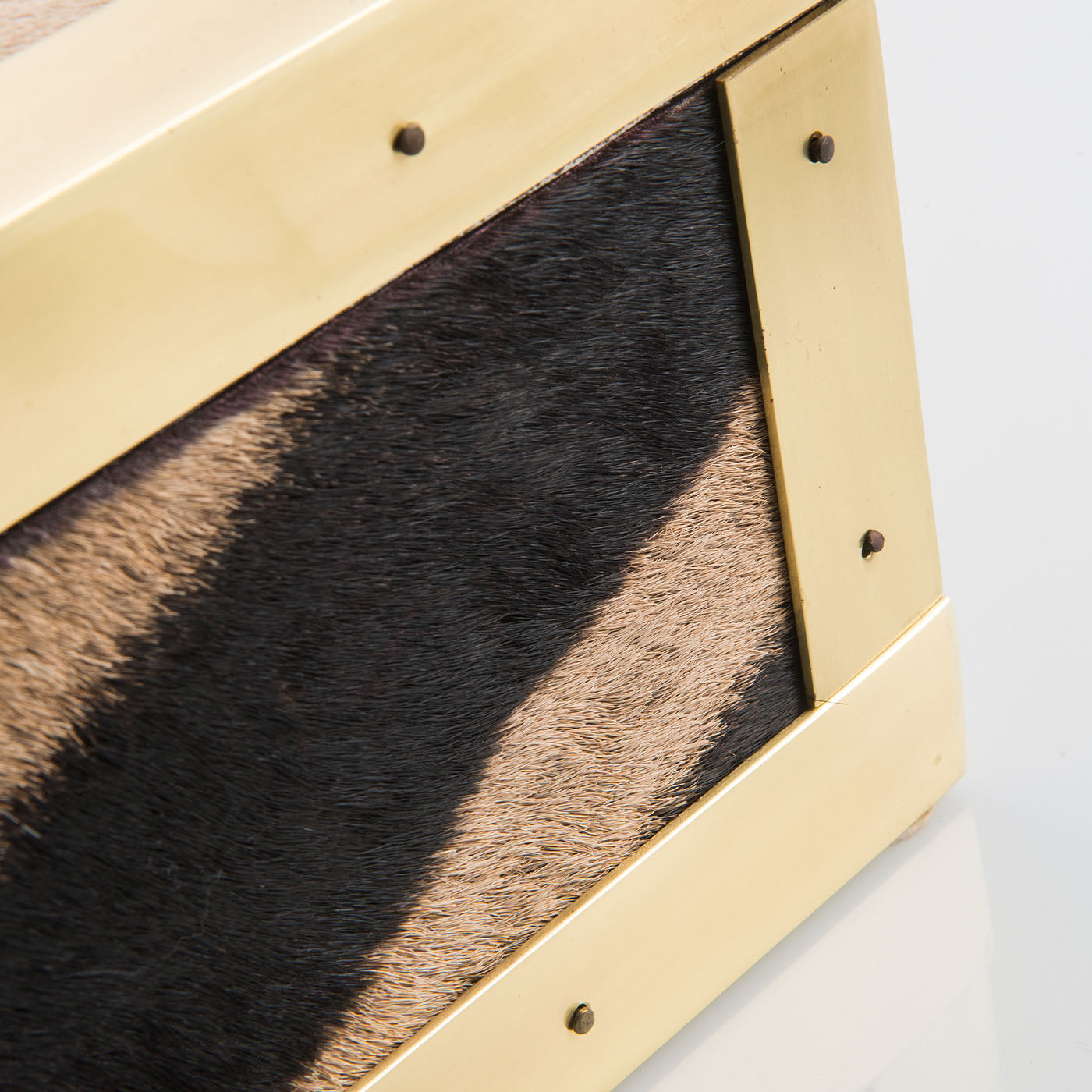 Memories Zebra Skin And Brass Box - Alternative view 3
